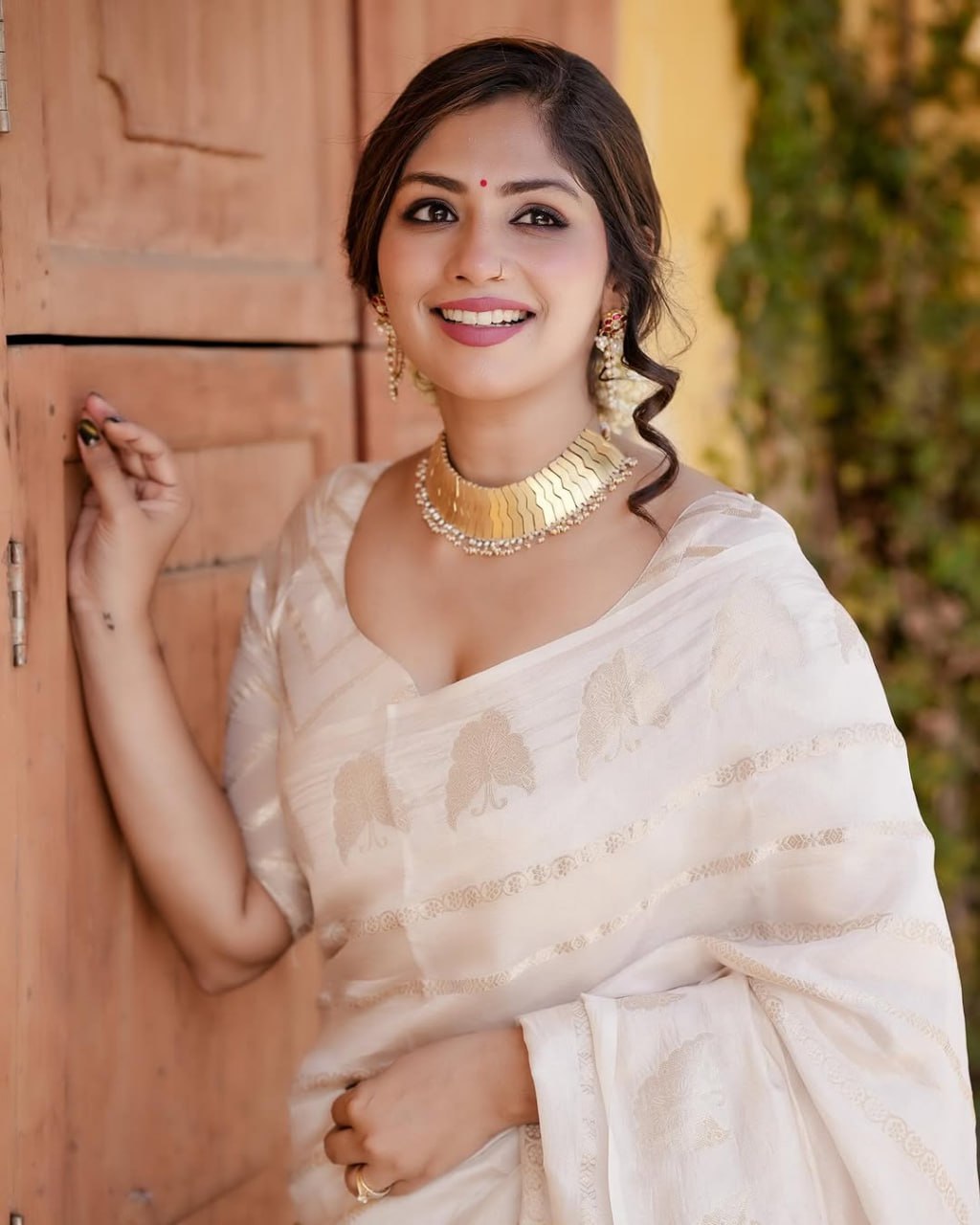 Elegant Off-White Organza Silk Saree