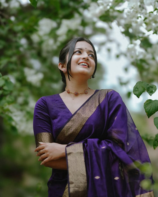Royal Violet Banarasi Silk Saree with Silver Zari Buttas and Border